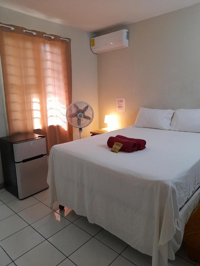 Camelia Rooms Kingston Exterior photo