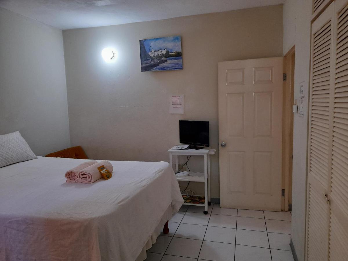 Camelia Rooms Kingston Exterior photo